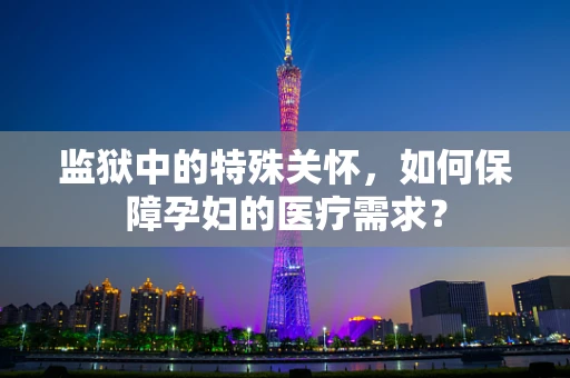监狱中的特殊关怀，如何保障孕妇的医疗需求？