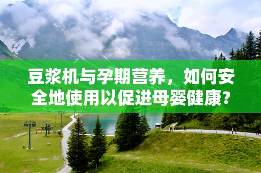 豆浆机与孕期营养，如何安全地使用以促进母婴健康？