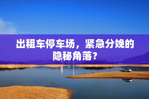 出租车停车场，紧急分娩的隐秘角落？