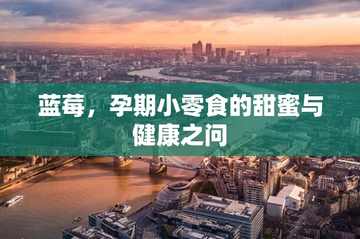 蓝莓，孕期小零食的甜蜜与健康之问