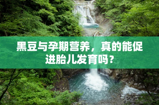 黑豆与孕期营养，真的能促进胎儿发育吗？