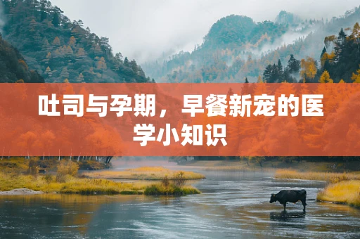 吐司与孕期，早餐新宠的医学小知识