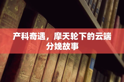 产科奇遇，摩天轮下的云端分娩故事