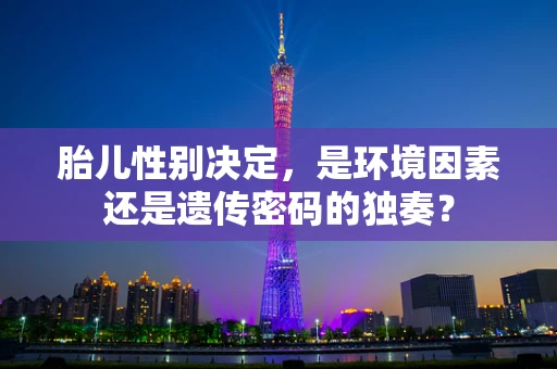 胎儿性别决定，是环境因素还是遗传密码的独奏？