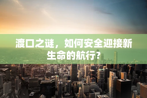 渡口之谜，如何安全迎接新生命的航行？