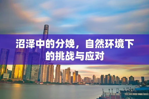 沼泽中的分娩，自然环境下的挑战与应对
