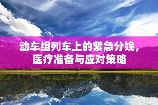 动车组列车上的紧急分娩，医疗准备与应对策略