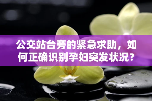 公交站台旁的紧急求助，如何正确识别孕妇突发状况？