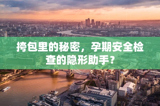 挎包里的秘密，孕期安全检查的隐形助手？