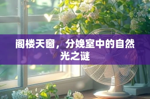 阁楼天窗，分娩室中的自然光之谜