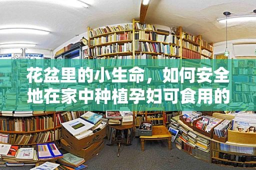 花盆里的小生命，如何安全地在家中种植孕妇可食用的植物？