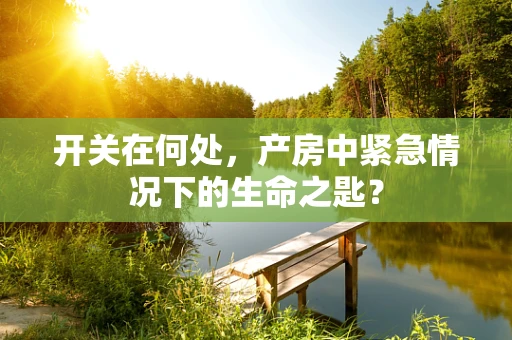 开关在何处，产房中紧急情况下的生命之匙？