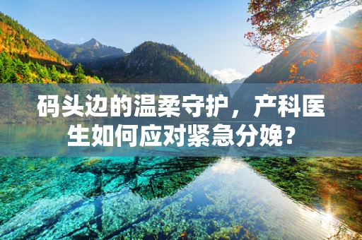 码头边的温柔守护，产科医生如何应对紧急分娩？