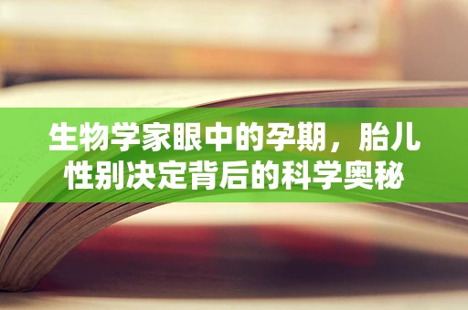 生物学家眼中的孕期，胎儿性别决定背后的科学奥秘