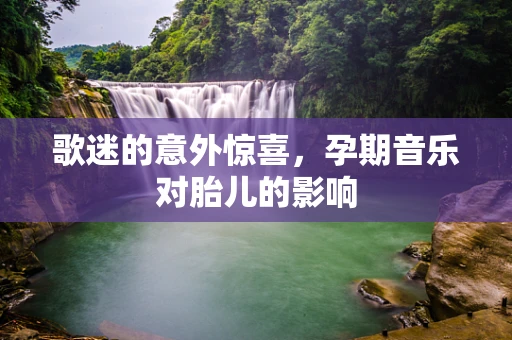 歌迷的意外惊喜，孕期音乐对胎儿的影响