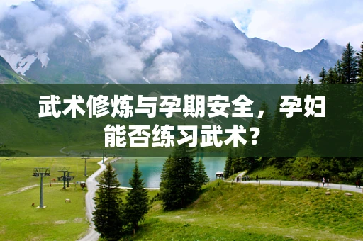 武术修炼与孕期安全，孕妇能否练习武术？