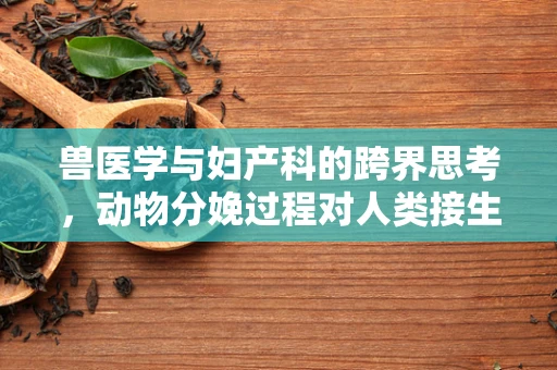 兽医学与妇产科的跨界思考，动物分娩过程对人类接生的启示