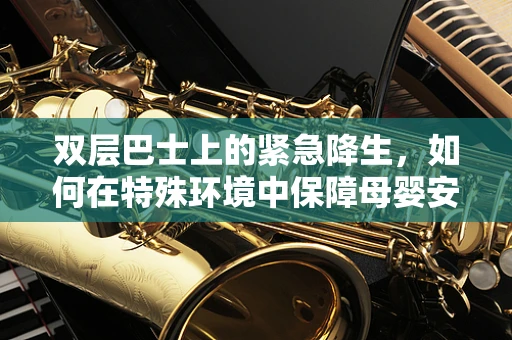 双层巴士上的紧急降生，如何在特殊环境中保障母婴安全？