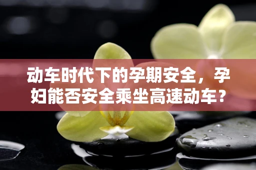 动车时代下的孕期安全，孕妇能否安全乘坐高速动车？