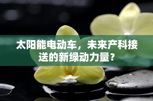 太阳能电动车，未来产科接送的新绿动力量？