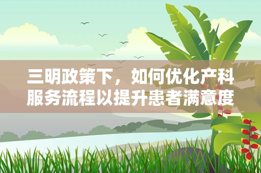 三明政策下，如何优化产科服务流程以提升患者满意度？
