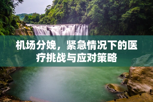机场分娩，紧急情况下的医疗挑战与应对策略