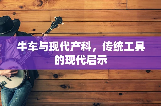 牛车与现代产科，传统工具的现代启示