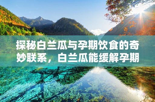 探秘白兰瓜与孕期饮食的奇妙联系，白兰瓜能缓解孕期水肿吗？