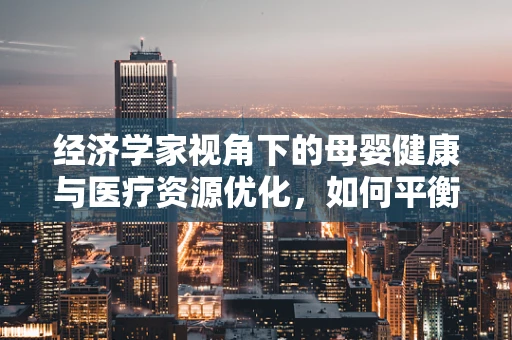 经济学家视角下的母婴健康与医疗资源优化，如何平衡投入与产出？
