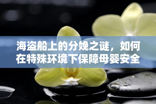 海盗船上的分娩之谜，如何在特殊环境下保障母婴安全？