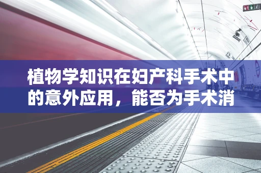 植物学知识在妇产科手术中的意外应用，能否为手术消毒带来新思路？