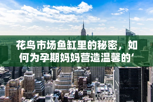 花鸟市场鱼缸里的秘密，如何为孕期妈妈营造温馨的‘水’世界？