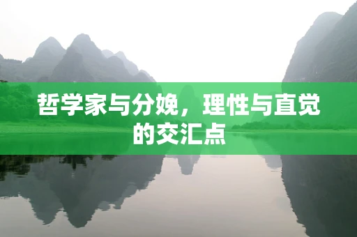 哲学家与分娩，理性与直觉的交汇点