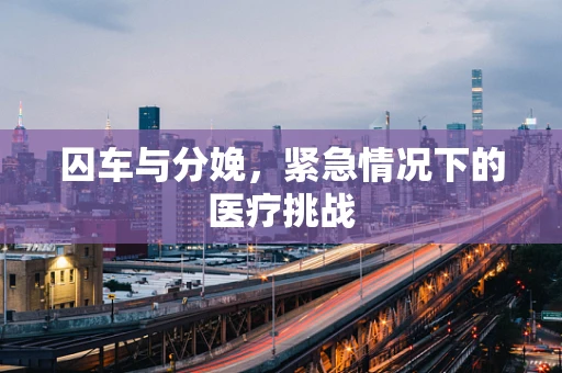 囚车与分娩，紧急情况下的医疗挑战