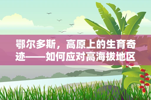 鄂尔多斯，高原上的生育奇迹——如何应对高海拔地区孕妇的特殊挑战？