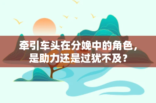 牵引车头在分娩中的角色，是助力还是过犹不及？