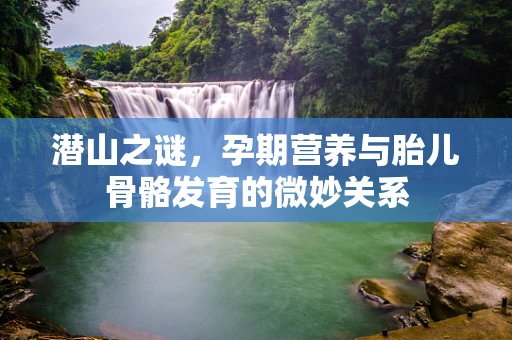 潜山之谜，孕期营养与胎儿骨骼发育的微妙关系