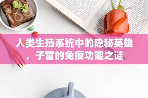 人类生殖系统中的隐秘英雄，子宫的免疫功能之谜