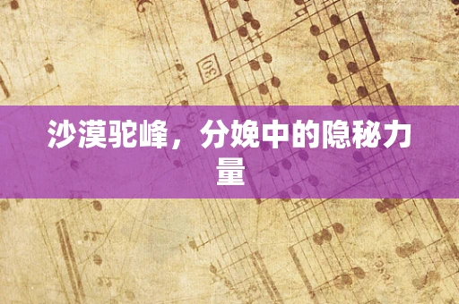 沙漠驼峰，分娩中的隐秘力量