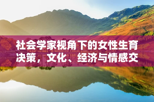 社会学家视角下的女性生育决策，文化、经济与情感交织的复杂图景