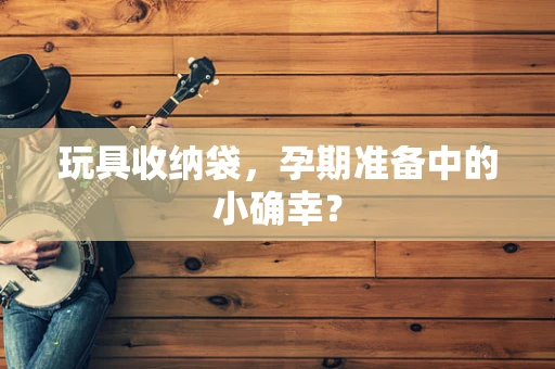 玩具收纳袋，孕期准备中的小确幸？