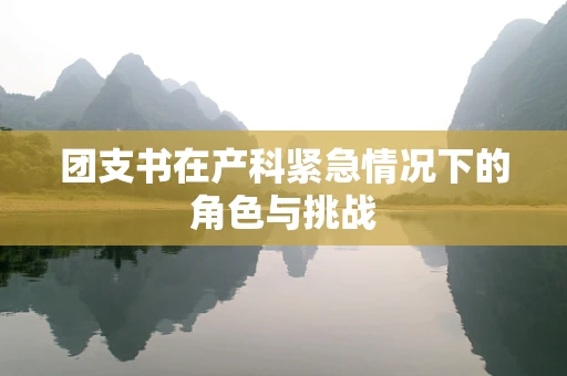 团支书在产科紧急情况下的角色与挑战