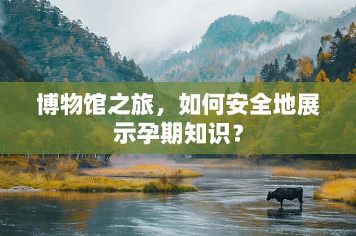 博物馆之旅，如何安全地展示孕期知识？
