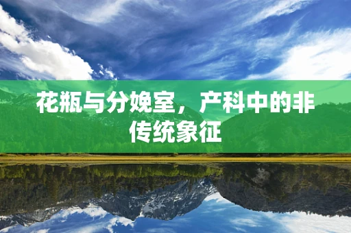 花瓶与分娩室，产科中的非传统象征