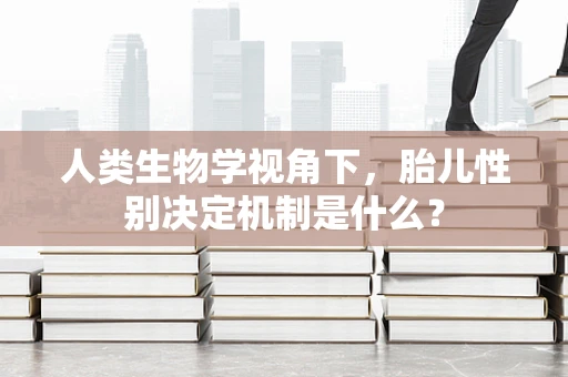 人类生物学视角下，胎儿性别决定机制是什么？