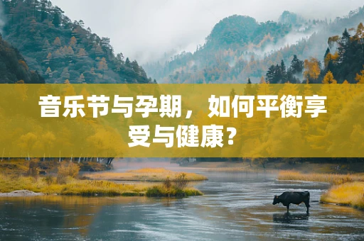 音乐节与孕期，如何平衡享受与健康？