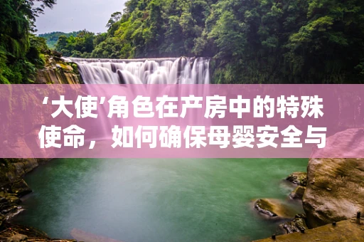 ‘大使’角色在产房中的特殊使命，如何确保母婴安全与和谐的沟通桥梁？