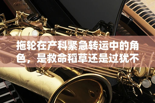 拖轮在产科紧急转运中的角色，是救命稻草还是过犹不及？