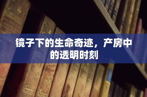 镜子下的生命奇迹，产房中的透明时刻