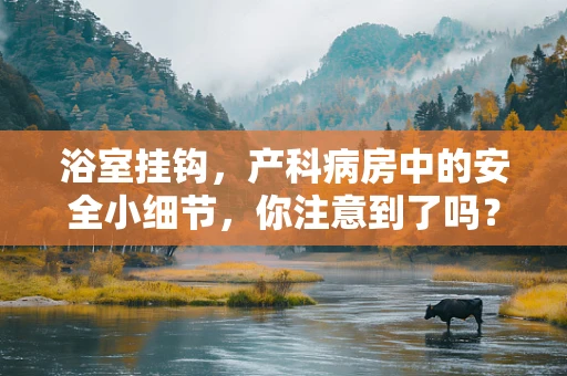 浴室挂钩，产科病房中的安全小细节，你注意到了吗？